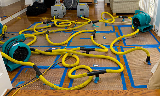 Professional Structural Drying And Dehumidification technician working in Ridgeland, WI